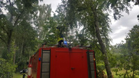 Feuerwehr Groß Kölzig - Baum Mischanlage Groß Kölzig