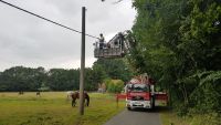 Feuerwehr Groß Kölzig - Baum Stromleitung Groß Kölzig