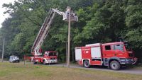 Feuerwehr Groß Kölzig - Baum Stromleitung Groß Kölzig