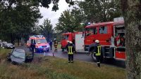 Feuerwehr Groß Kölzig - Wildunfall Klein Kölzig