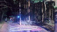 Feuerwehr Groß Kölzig - Waldbrand Felixsee L48