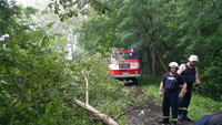 Feuerwehr Groß Kölzig - Baum Bruchmühle Groß Kölzig